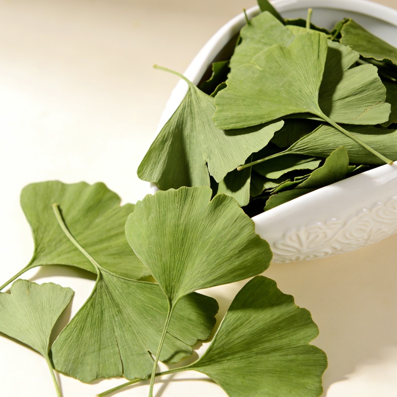 Kaliteli Kurutulmuş Ginkgo Bil - Quality Home Fragrance incelemesi ve fiyatı