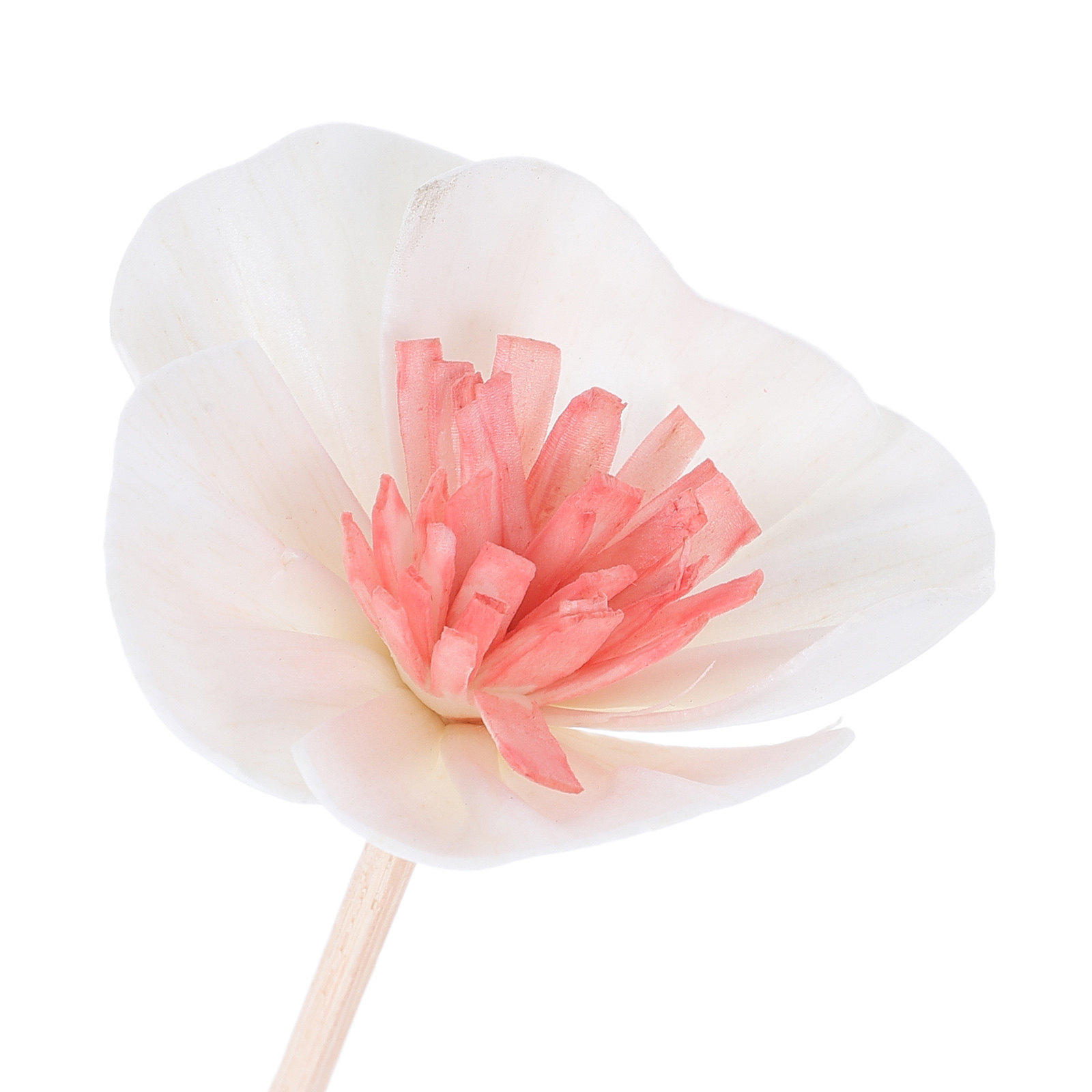 10 Adet Siyah Çok Gözenekli Fi - Home Fragrance Oil Diffuser incelemesi ve fiyatı