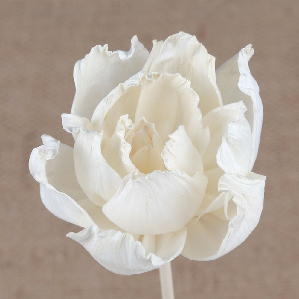 Çok Amaçlı 5cm Doğal El Yapımı - Home Fragrance Natural incelemesi ve fiyatı